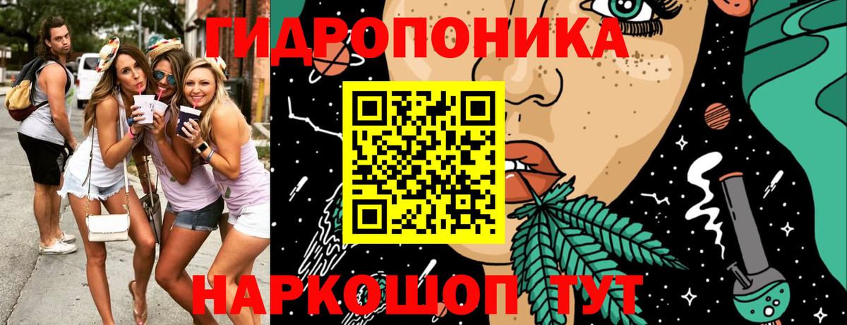 Бошки Шишки семена Маркс