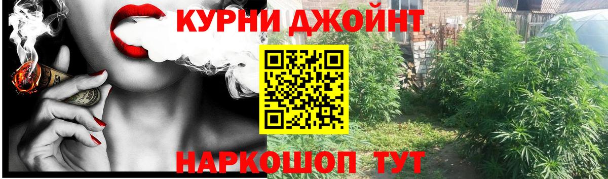 Маркс  Каннабис гибрид  Каннабис план  Вход с VPN 